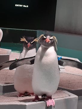 AOAO SAPPOROに投稿された画像（2023/10/26）