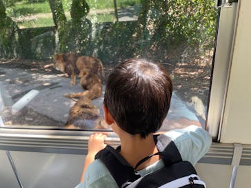 群馬サファリパークに投稿された画像（2023/10/26）