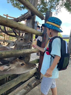 群馬サファリパークに投稿された画像（2023/10/26）