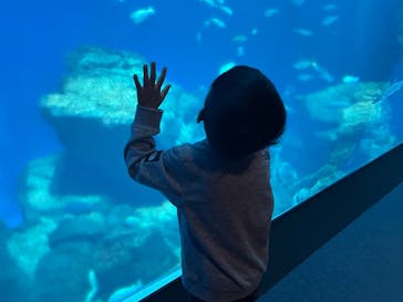 アクアワールド茨城県大洗水族館に投稿された画像（2023/10/26）