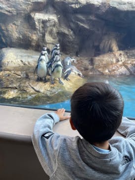 アクアワールド茨城県大洗水族館に投稿された画像（2023/10/26）