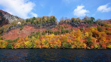 グリランド株式会社に投稿された画像（2023/10/26）