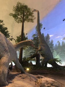 福井県立恐竜博物館に投稿された画像（2023/10/26）