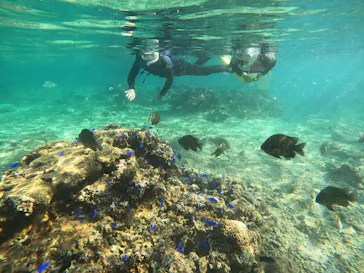 武藤潜水に投稿された画像（2023/10/27）