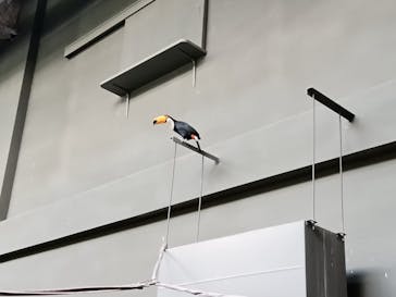 カワスイ 川崎⽔族館に投稿された画像（2023/10/27）