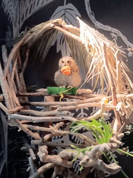 カワスイ 川崎⽔族館に投稿された画像（2023/10/27）