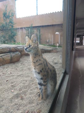 那須どうぶつ王国に投稿された画像（2023/10/27）