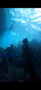 武藤潜水に投稿された画像（2023/10/27）