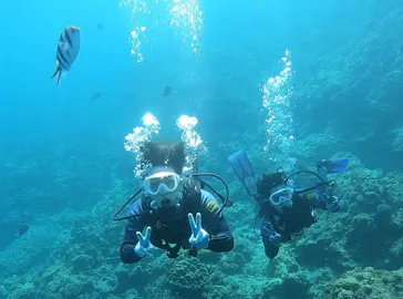 武藤潜水に投稿された画像（2023/10/27）