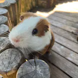 美らヤシパークオキナワ・東南植物楽園に投稿された画像（2023/10/27）