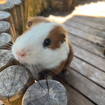 美らヤシパークオキナワ・東南植物楽園に投稿された画像（2023/10/27）