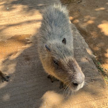 美らヤシパークオキナワ・東南植物楽園に投稿された画像（2023/10/27）