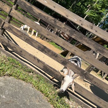 美らヤシパークオキナワ・東南植物楽園に投稿された画像（2023/10/27）