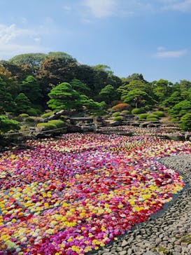 日本庭園　由志園に投稿された画像（2023/10/27）