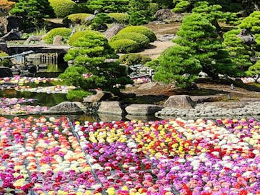 日本庭園　由志園に投稿された画像（2023/10/27）