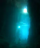 武藤潜水に投稿された画像（2023/10/27）