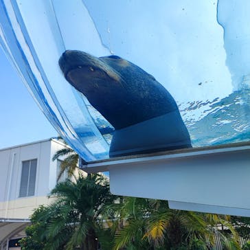 サンシャイン水族館に投稿された画像（2023/10/27）