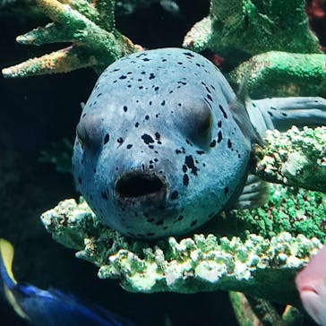 サンシャイン水族館に投稿された画像（2023/10/27）