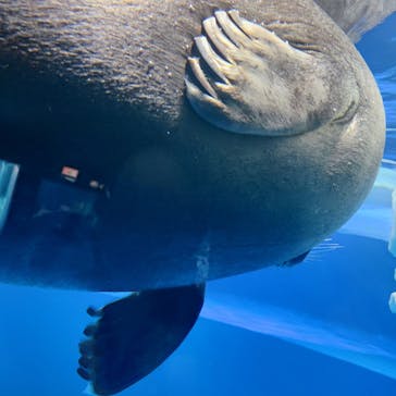 サンシャイン水族館に投稿された画像（2023/10/27）