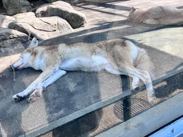 天王寺動物園に投稿された画像（2023/10/27）