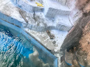 天王寺動物園に投稿された画像（2023/10/27）