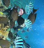 武藤潜水に投稿された画像（2023/10/27）