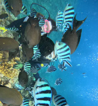 武藤潜水に投稿された画像（2023/10/27）