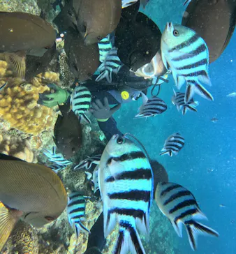 武藤潜水に投稿された画像（2023/10/27）