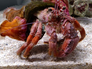 AOAO SAPPOROに投稿された画像（2023/10/27）