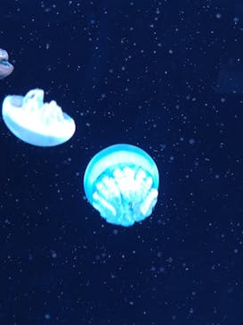 AOAO SAPPOROに投稿された画像（2023/10/27）