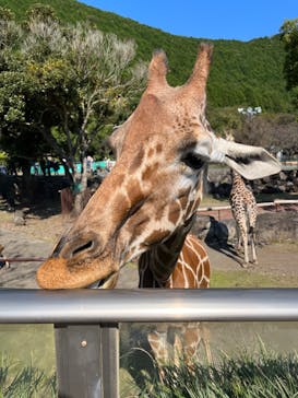 伊豆アニマルキングダムに投稿された画像（2023/10/27）