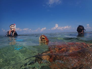 nico 宮古島に投稿された画像（2023/10/27）