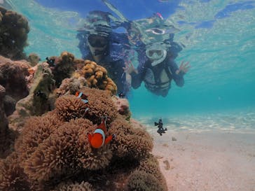 nico 宮古島に投稿された画像（2023/10/27）