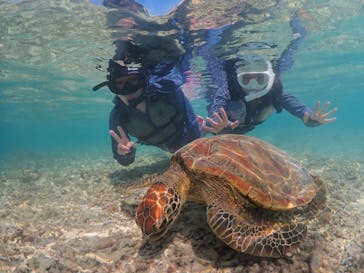 nico 宮古島に投稿された画像（2023/10/27）