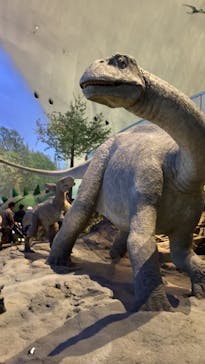 福井県立恐竜博物館に投稿された画像（2023/10/27）