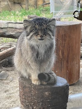 那須どうぶつ王国に投稿された画像（2023/10/27）