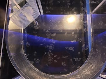 京都水族館に投稿された画像（2023/10/27）