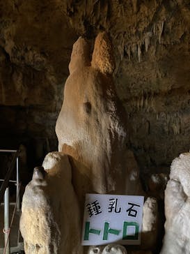 石垣島鍾乳洞に投稿された画像（2023/10/27）