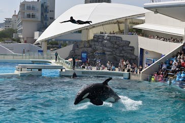 鴨川シーワールドに投稿された画像（2023/10/27）