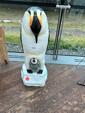 環境水族館アクアマリンふくしまに投稿された画像（2023/10/27）