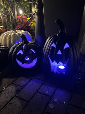 横浜イングリッシュガーデンに投稿された画像（2023/10/27）