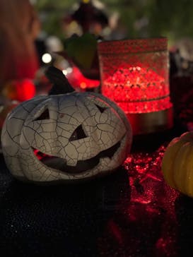 横浜イングリッシュガーデンに投稿された画像（2023/10/27）