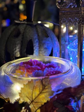 横浜イングリッシュガーデンに投稿された画像（2023/10/27）