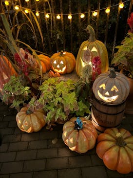 横浜イングリッシュガーデンに投稿された画像（2023/10/27）