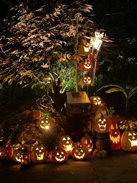 横浜イングリッシュガーデンに投稿された画像（2023/10/27）