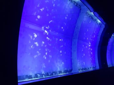 アクアワールド茨城県大洗水族館に投稿された画像（2023/10/27）