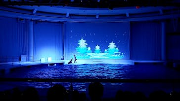 アクアワールド茨城県大洗水族館に投稿された画像（2023/10/27）