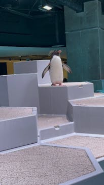 AOAO SAPPOROに投稿された画像（2023/10/27）