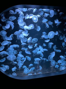 AOAO SAPPOROに投稿された画像（2023/10/27）