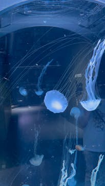 AOAO SAPPOROに投稿された画像（2023/10/27）